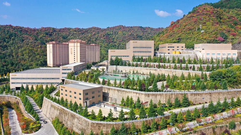 202311091699521985983841.jpg 640 (6).JPG