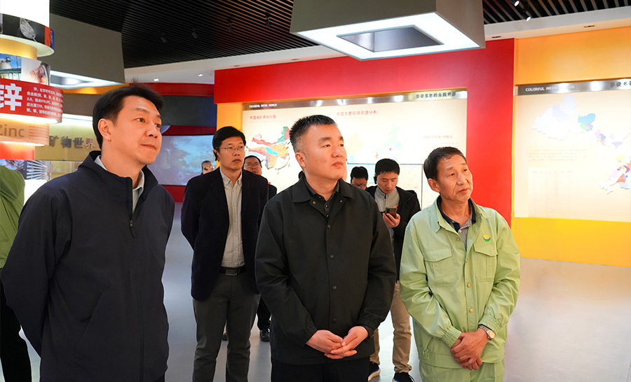 10.4-2024年04月，自然資源部礦保司副司長(zhǎng)王博蒞臨公司調(diào)研。.jpg